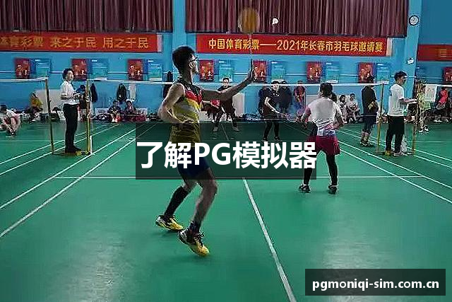 了解PG模拟器